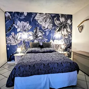 La Bulle Bleue - Parking-terrasse-aeoport-meet Blagnac